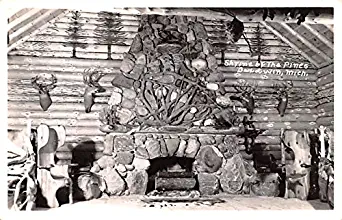 Shrine of the Pines Baldwin, Michigan postcard