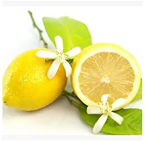 2015 Eureka rainbow lemon seeds organic fruit lemon tree seeds home garden fruit plant 10pcs/lot Bonsai Perfume Lemon Seeds