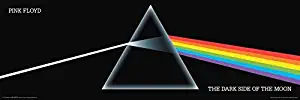 Buyartforless Pink Floyd - Dark Side of The Moon Prism 36x12 Music Album Art Print Poster Wall Decor Classic