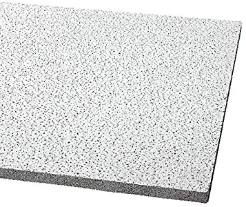 Acoustical Ceiling Tile 24