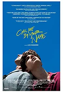 newhorizon Call Me by Your Name Movie Poster 14'' x 21'' NOT A DVD