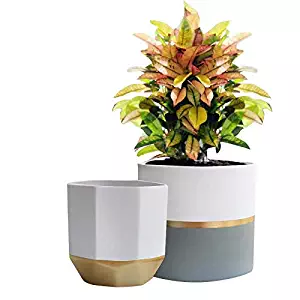 White Ceramic Flower Pot Garden Planters 6.5" Pack 2 Indoor, Plant Containers with Gold and Grey Detailing